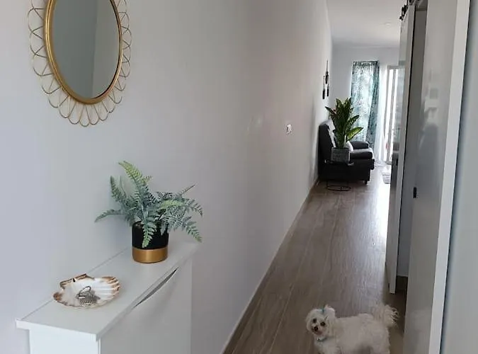 La Casa Del Descanso Apartamento El Albir